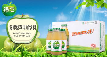 綠杰發(fā)酵型蘋(píng)果醋飲料團(tuán)購(gòu)指南 健康即飲新選擇